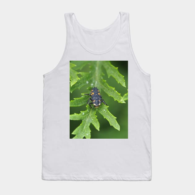 Larva of Coccinella septempunctata (seven-spotted ladybug) Tank Top by SDym Photography